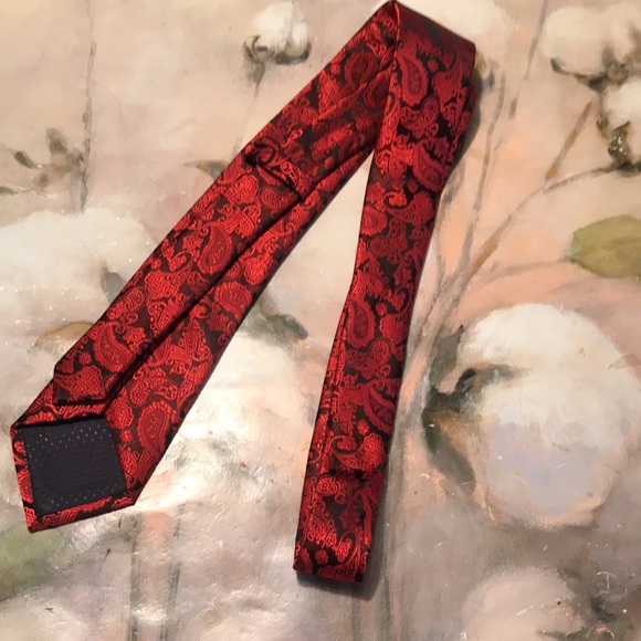 Silk paisley Tie - Picture 6 of 11